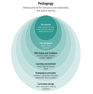 The National Pedagogy Project - Hwb