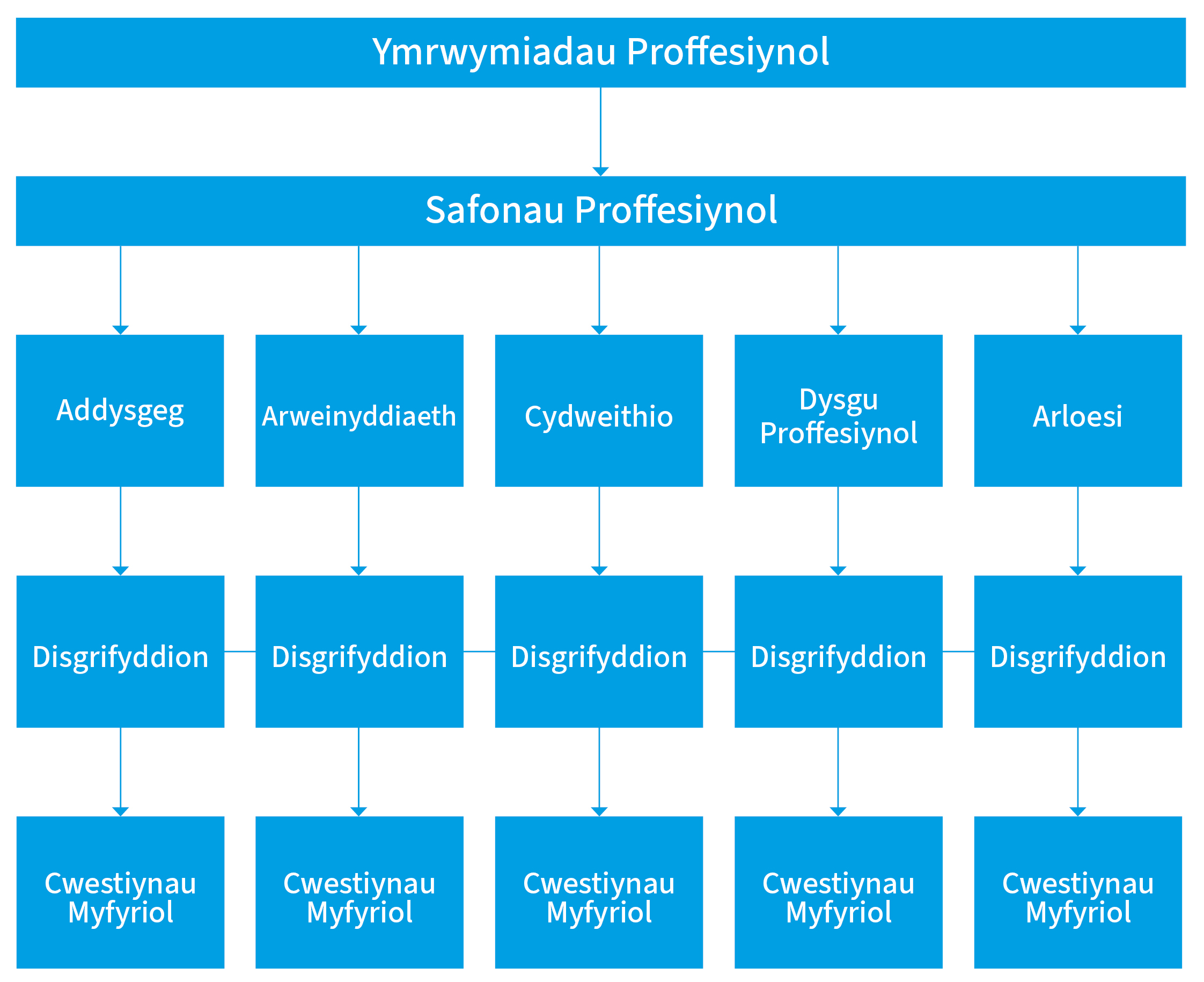 Strwythur y safonau proffesiynol diwygiedig
