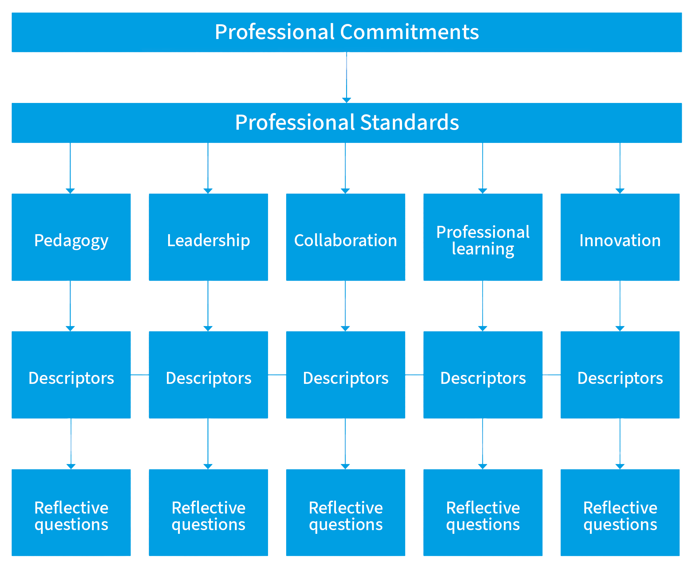Structure of the revised professional standards